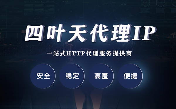 【百色代理IP】代理ip客户端使用教程